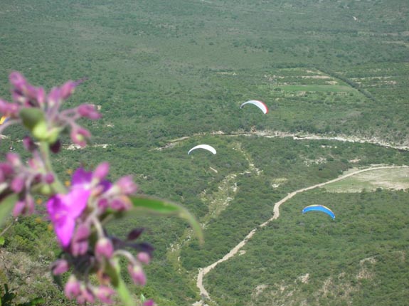 Valle de Punilla :: Córdoba, Argentina